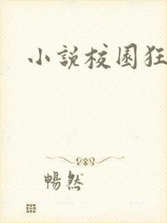 小说校园狂少