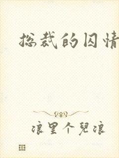 总裁的囚情前妻