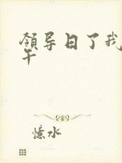 领导日了我一下午