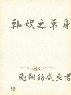 韩娱之单身爸爸