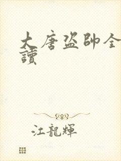 大唐盗帅全文阅读