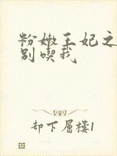 粉嫩王妃之殿下别吃我