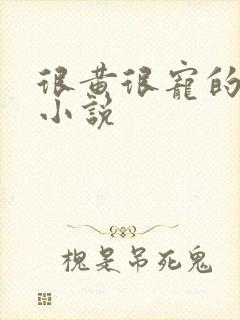 很黄很宠的总裁小说