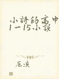 小诗的高中日记1一15小说