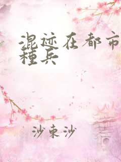 混迹在都市的特种兵