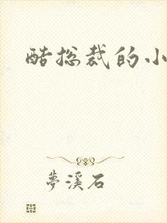 酷总裁的小女佣