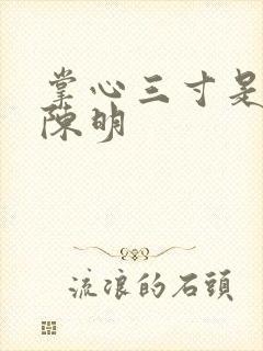 掌心三寸是人间陈明