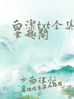 白洁txt全集笔趣阁