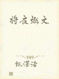 将夜燃文