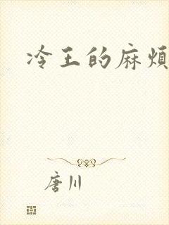 冷王的麻烦妃