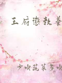 王府惩教养日常