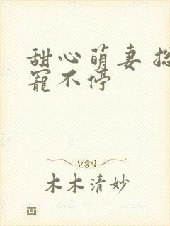 甜心萌妻 总裁宠不停