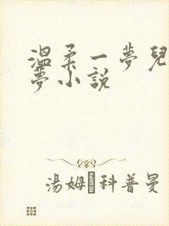 温柔一梦儿媳林梦小说