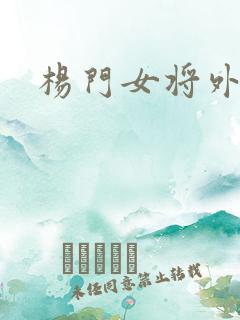 杨门女将外传