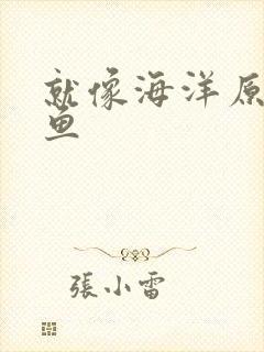 就像海洋原谅了鱼