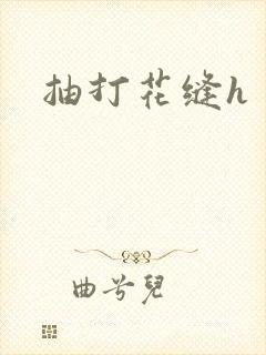 抽打花缝h