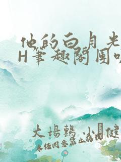 他的白月光HvH笔趣阁团叽叽