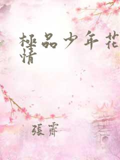 极品少年花都燃情