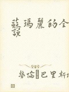 苏玛丽的全部小说