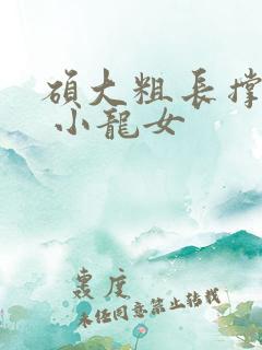 硕大粗长撑裂了 小龙女