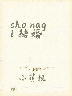 sho nagi 结婚