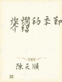 灿烂的季节剧情介绍