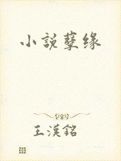 小说孽缘