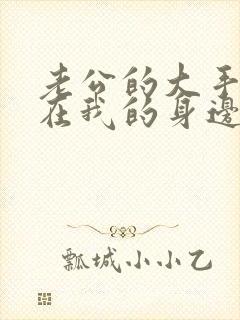 老公的大手游走在我的身边