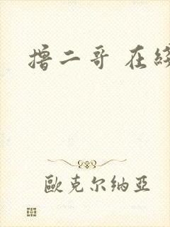 撸二哥 在线