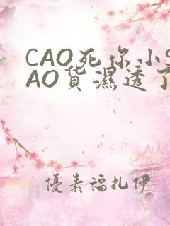 CAO死你小SAO货湿透了学长