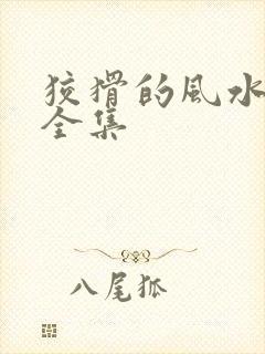 狡猾的风水相师全集