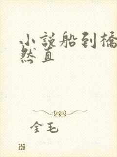 小说船到桥头自然直