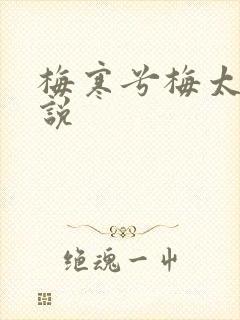 梅寒兮梅太颜小说