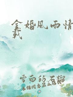 金婚风雨情 下载