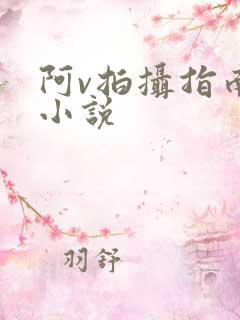阿v拍摄指南说小说
