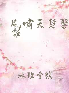 风啸天楚馨月小说