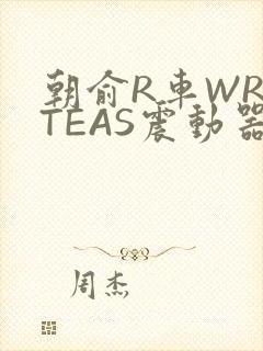 朝俞R车WRITEAS震动器