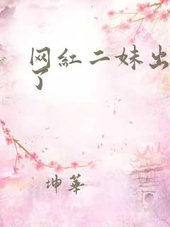 网红二妹出啥事了
