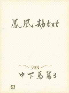 凤凰劫txt