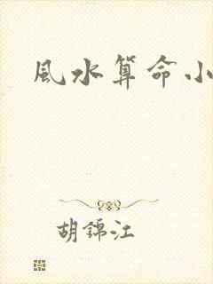 风水算命小说