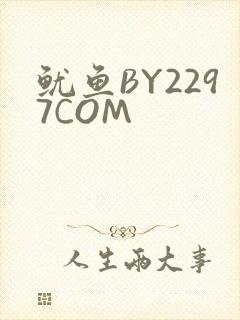 鱿鱼BY2297COM