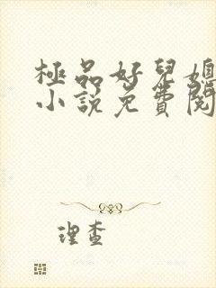 极品好儿媳苏灿小说免费阅读