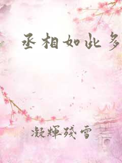 丞相如此多娇