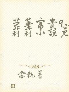 荣华富贵9小王莉莉小说免费阅读