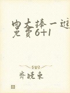 肉大捧一进一出免费6+1