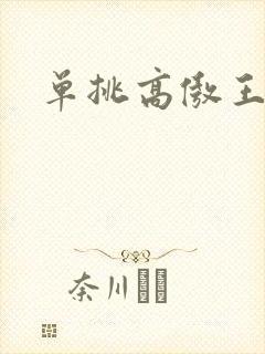 单挑高傲王子