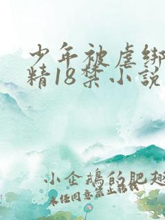 少年被虐绑着榨精18禁小说