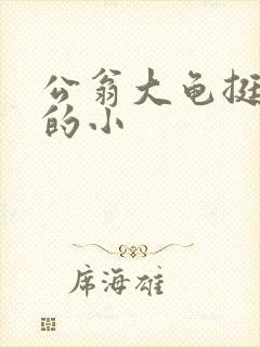 公翁大龟挺进我的小