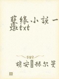孽缘小说一家乱炖txt