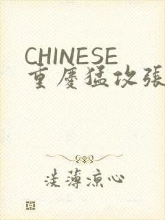 CHINESE重庆猛攻张先生